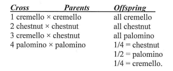 <p>The following coat colors are determined by alleles at one locus in horses:</p><p>palomino = golden coat with lighter mane and tail</p><p>cremello = almost white</p><p>chestnut = brown.</p><p>The following table gives ratios obtained in matings of the above varieties:.</p>