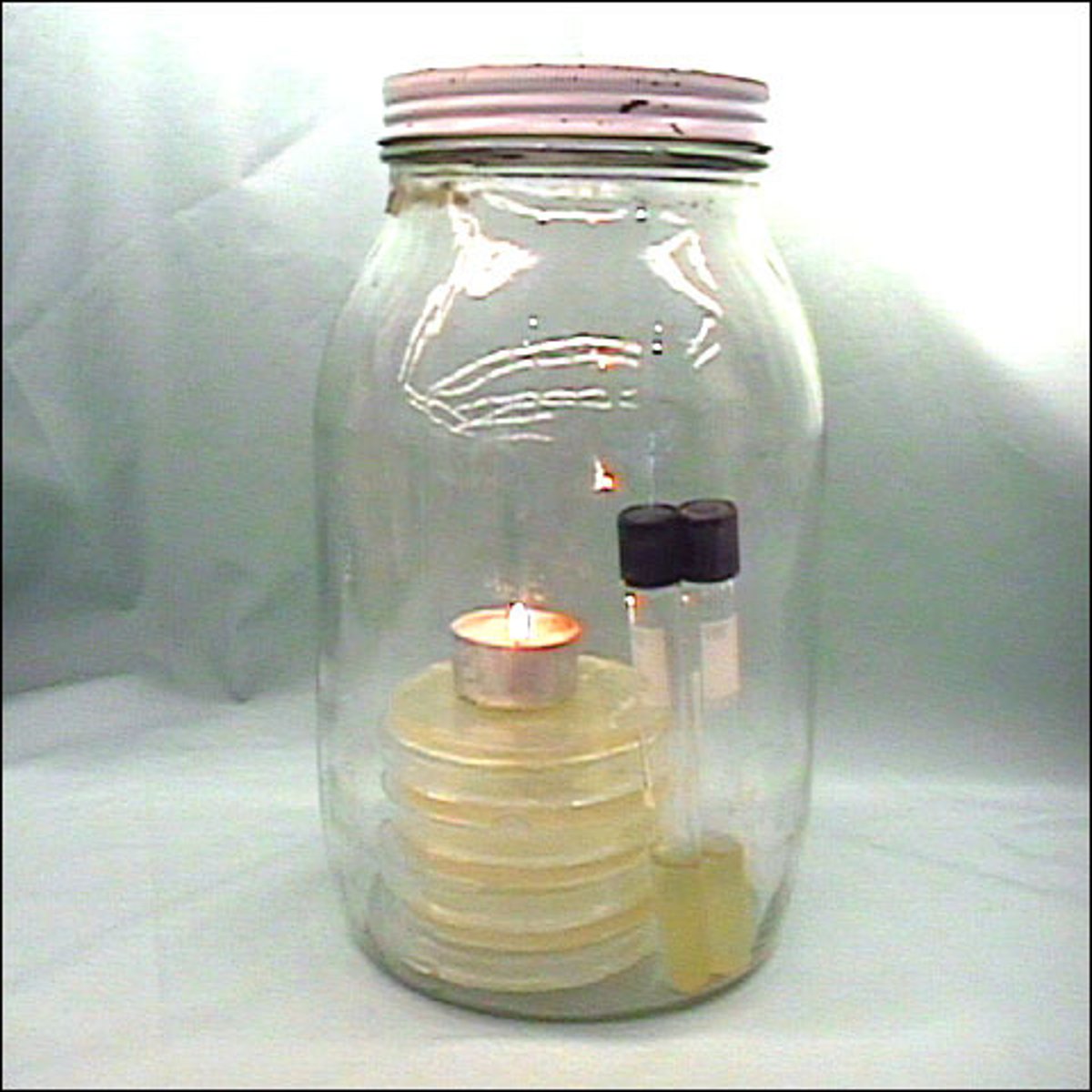 <p>What is this?</p>