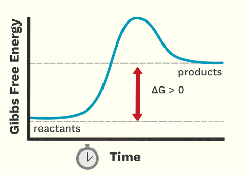 <p>What type of reaction is this?</p>