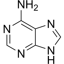 <p>What base is this </p>