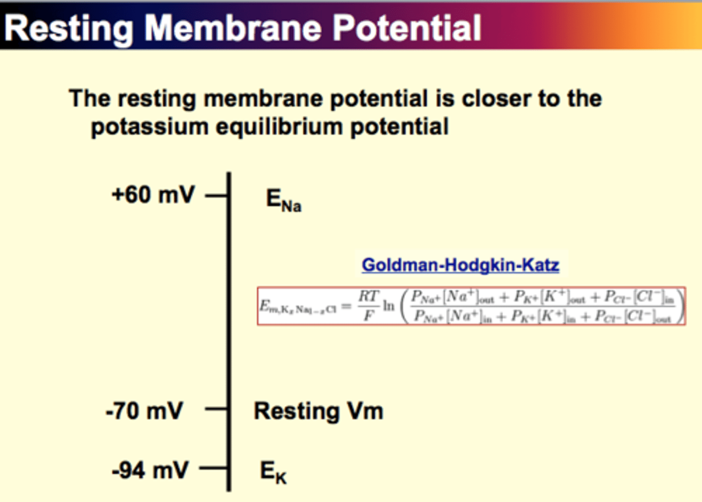 <p>- similar to Nernst Equation (x 3)</p><p>- have to know permeability of each ion</p>
