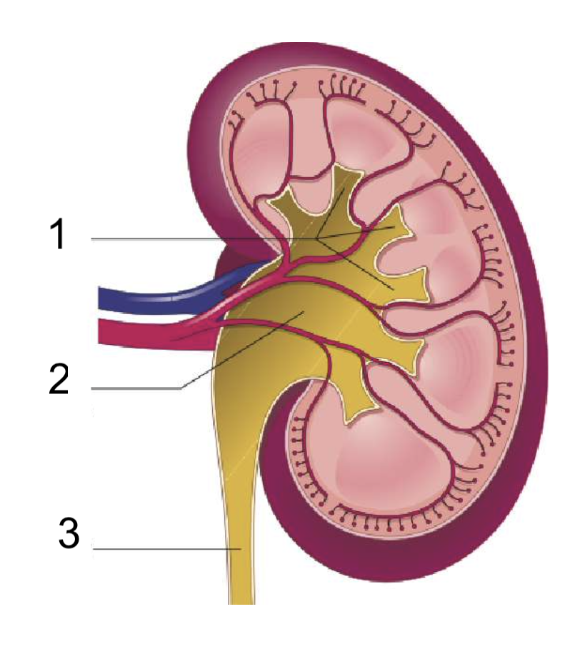 <p>What is number 2</p>