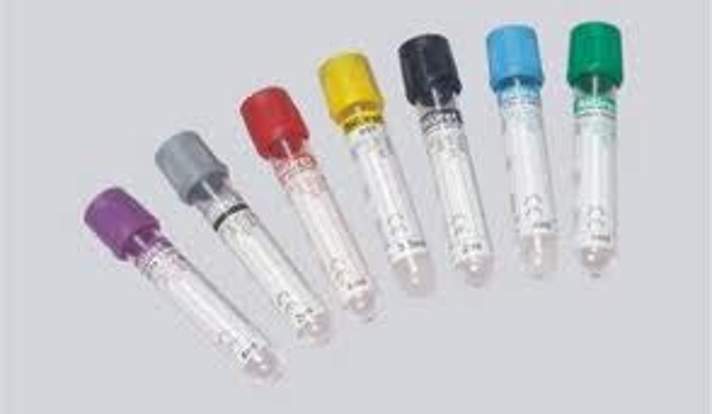 <p>Prevents blood from clotting</p>