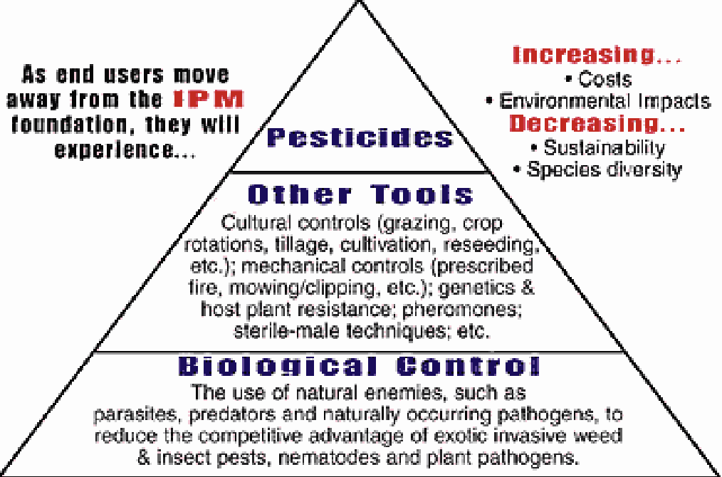 <p>We try to use a variety of means to control these pests; bottom uses biological control, middle is other tools, top is pesticides</p><ul><li><p>Reduce chemical use as much as possible</p></li></ul><p></p>