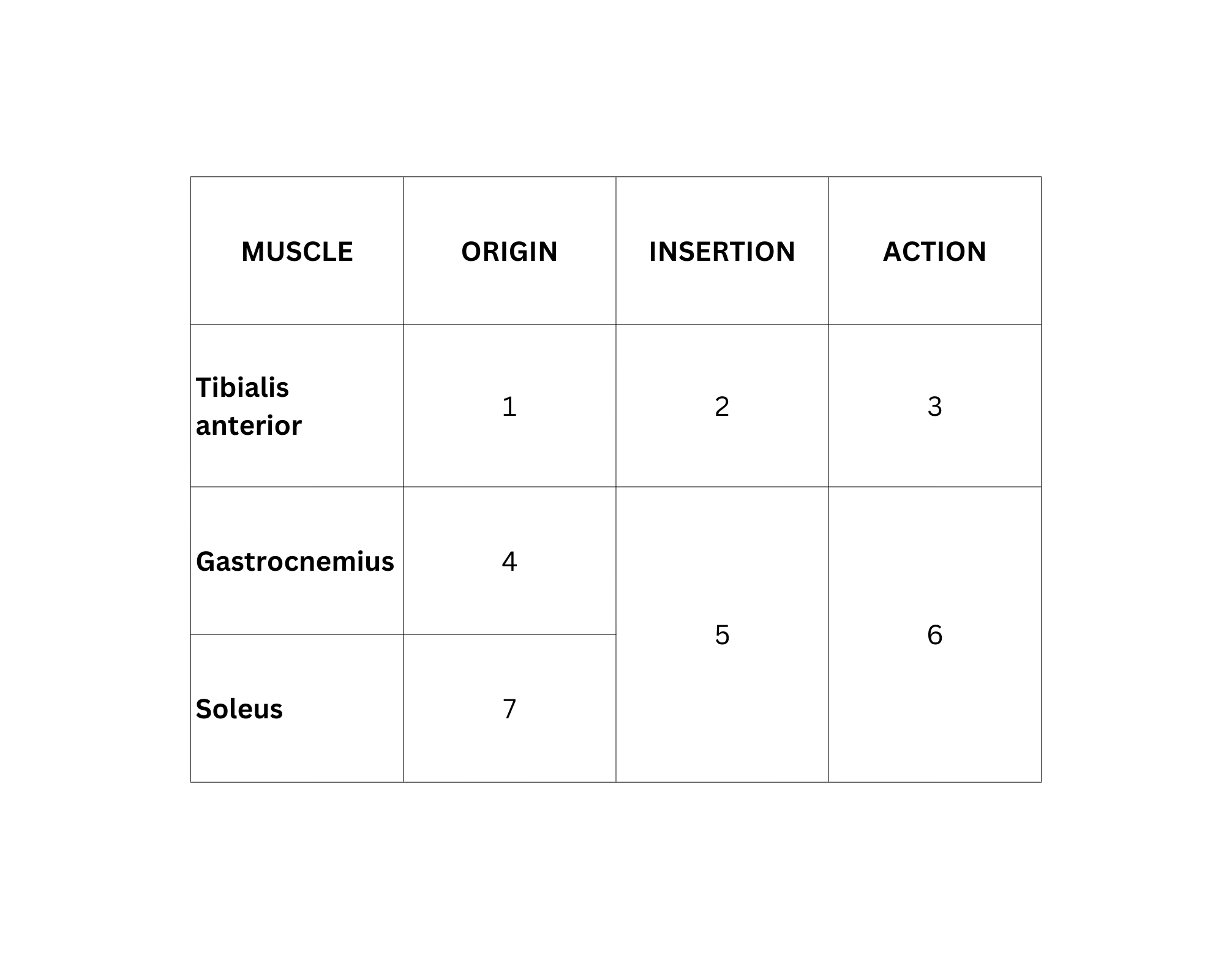 <p>5</p>