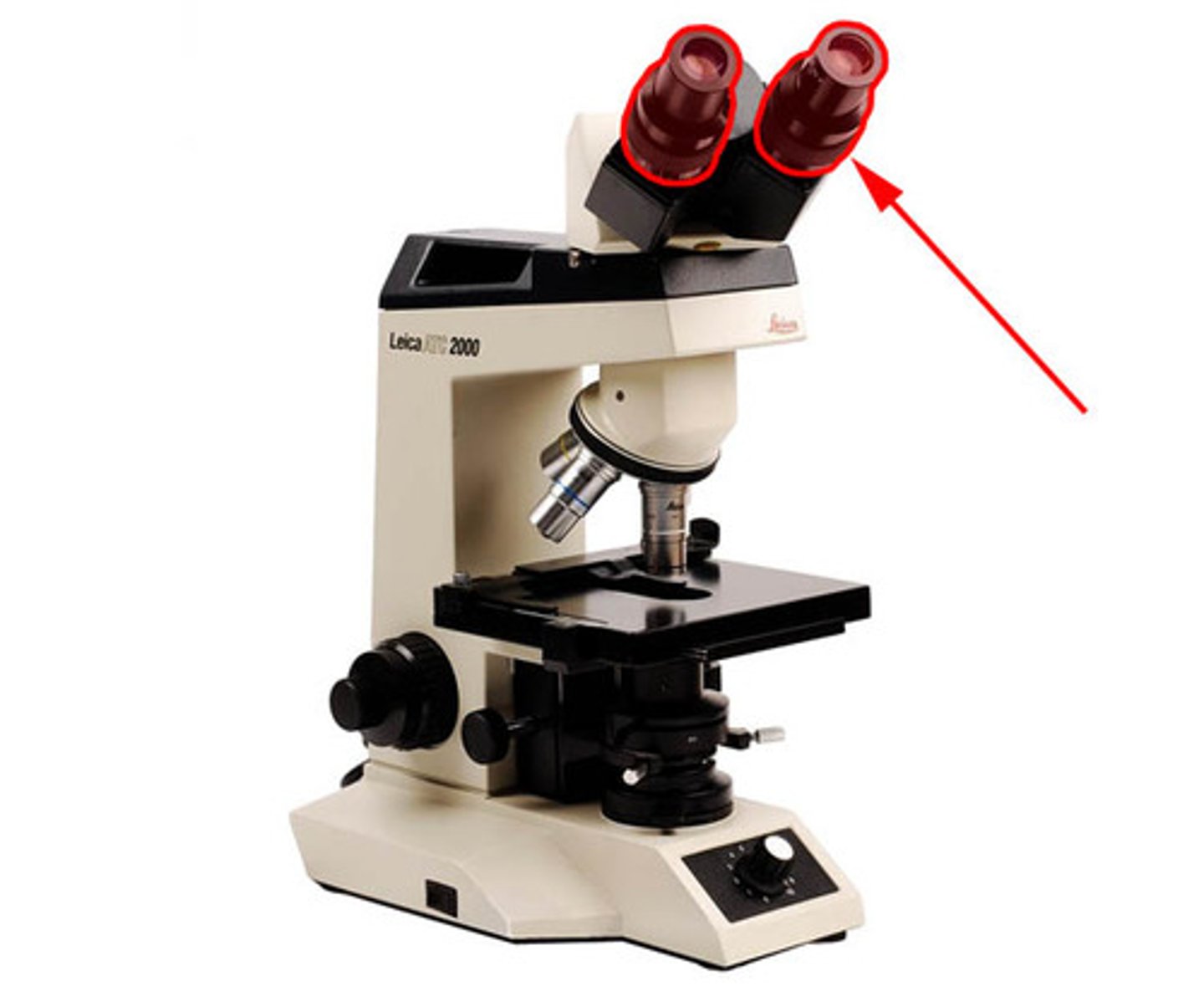 <p>The eyepiece in which you see through. This has a magnification of 10x.<br>magnifies the image formed by the objective.</p>