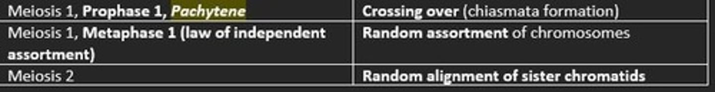 <p>Crossing-over, independent assortment, random fertilization</p>