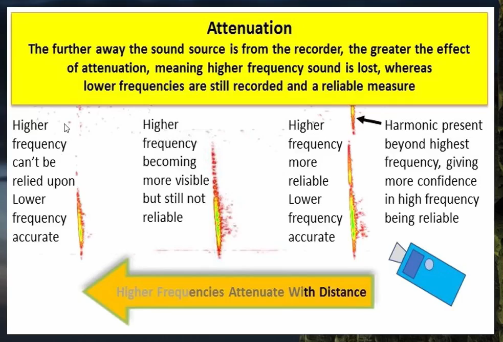 <p>The tendency for quieter or distant calls to be lost at higher frequency</p>