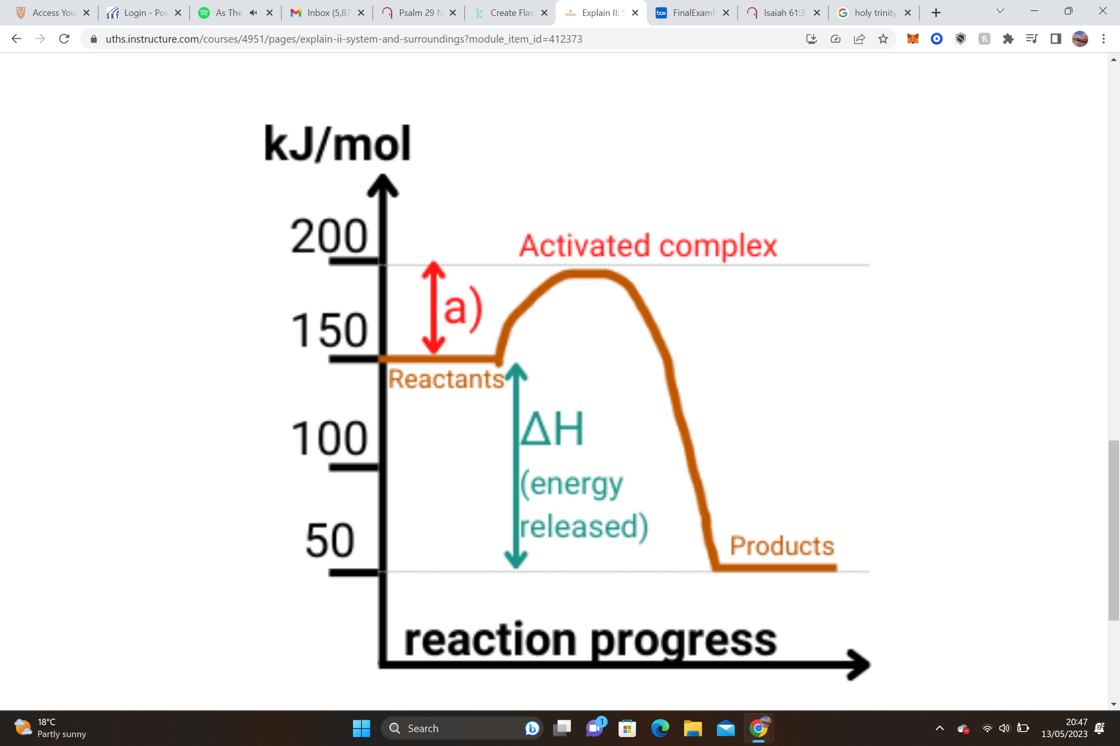 endo or exo and why