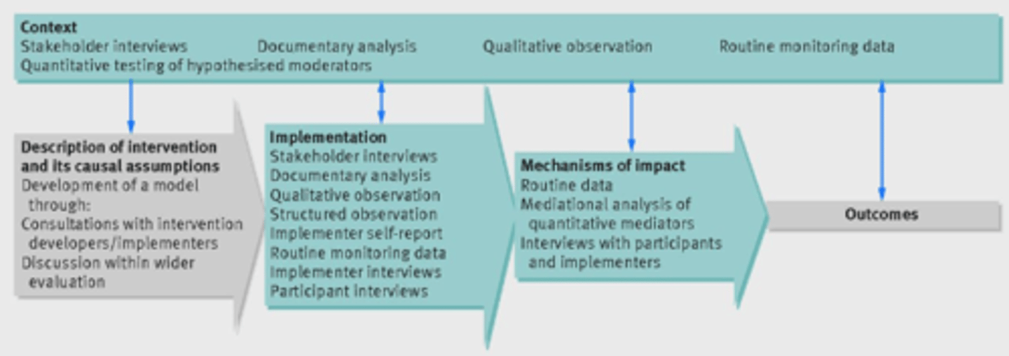 <p>Preparation (e.g. outcome measures)</p><p>Community profile (e.g. population, condition, context)</p><p>Evaluation (e.g. effectiveness, efficacy, achievement, results)</p>