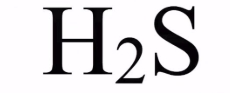 <p>H2S, weak acid</p>