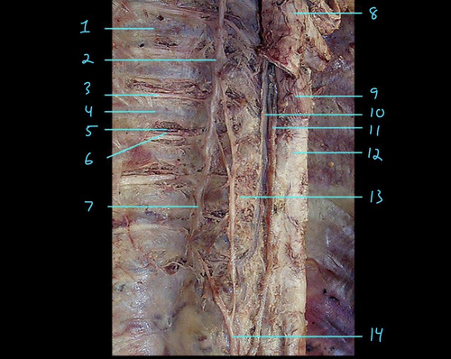 <p>1</p>