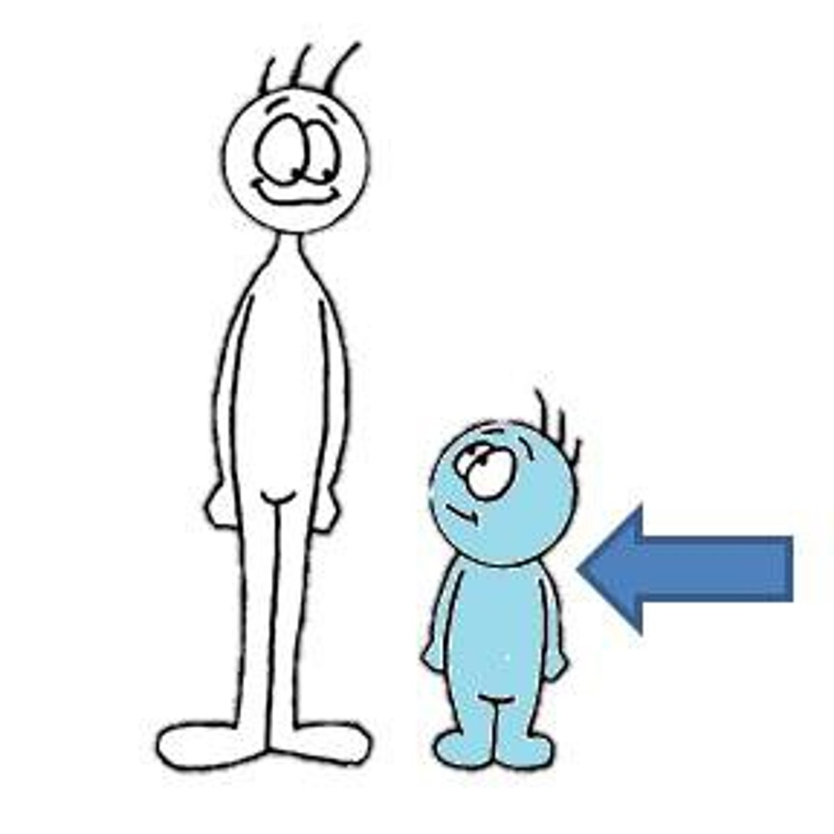 <p>short</p>
