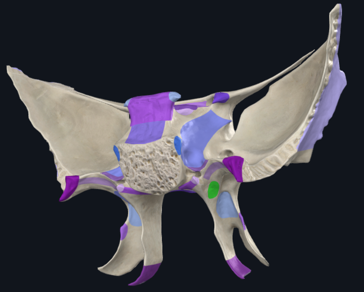 term image