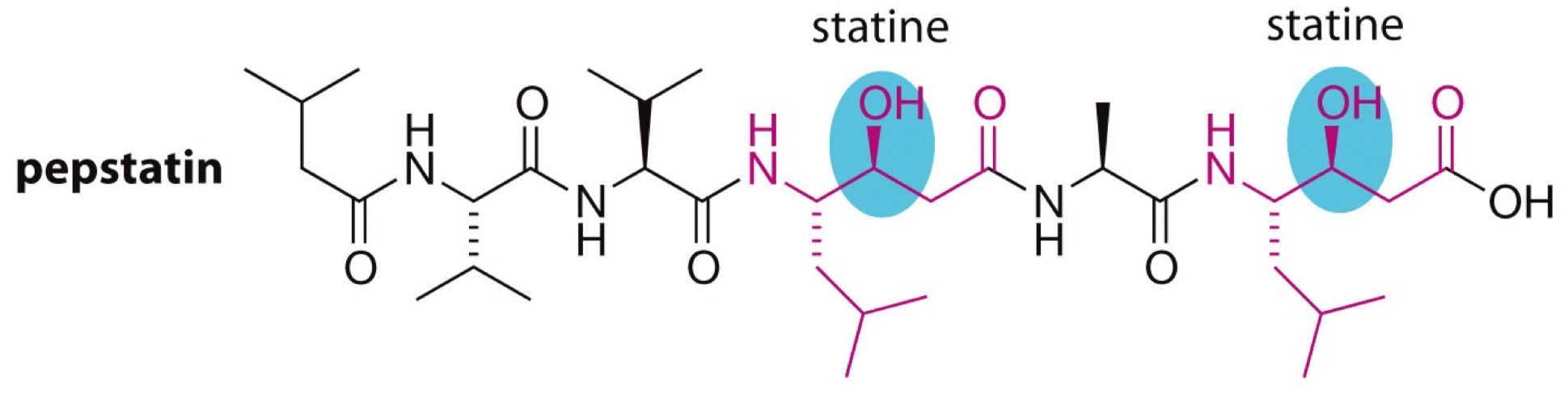 <p>Naturally occurring inhibitor that mimics tetrahedral state of protease with carbinols.</p>