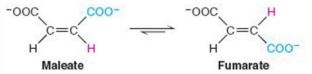 <p>Give Reaction Type and Class</p>