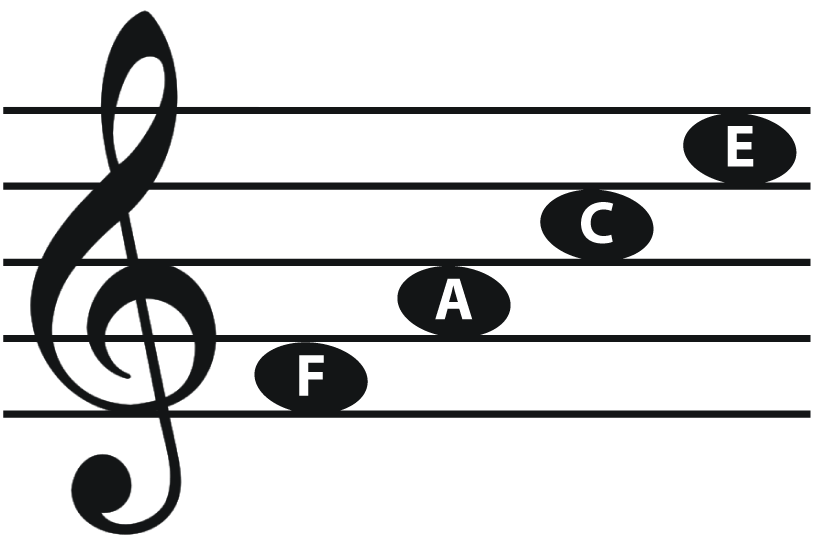 <p>FACE</p>