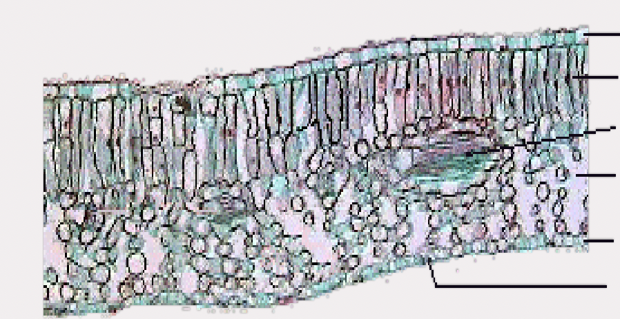 <p>What is this?</p>