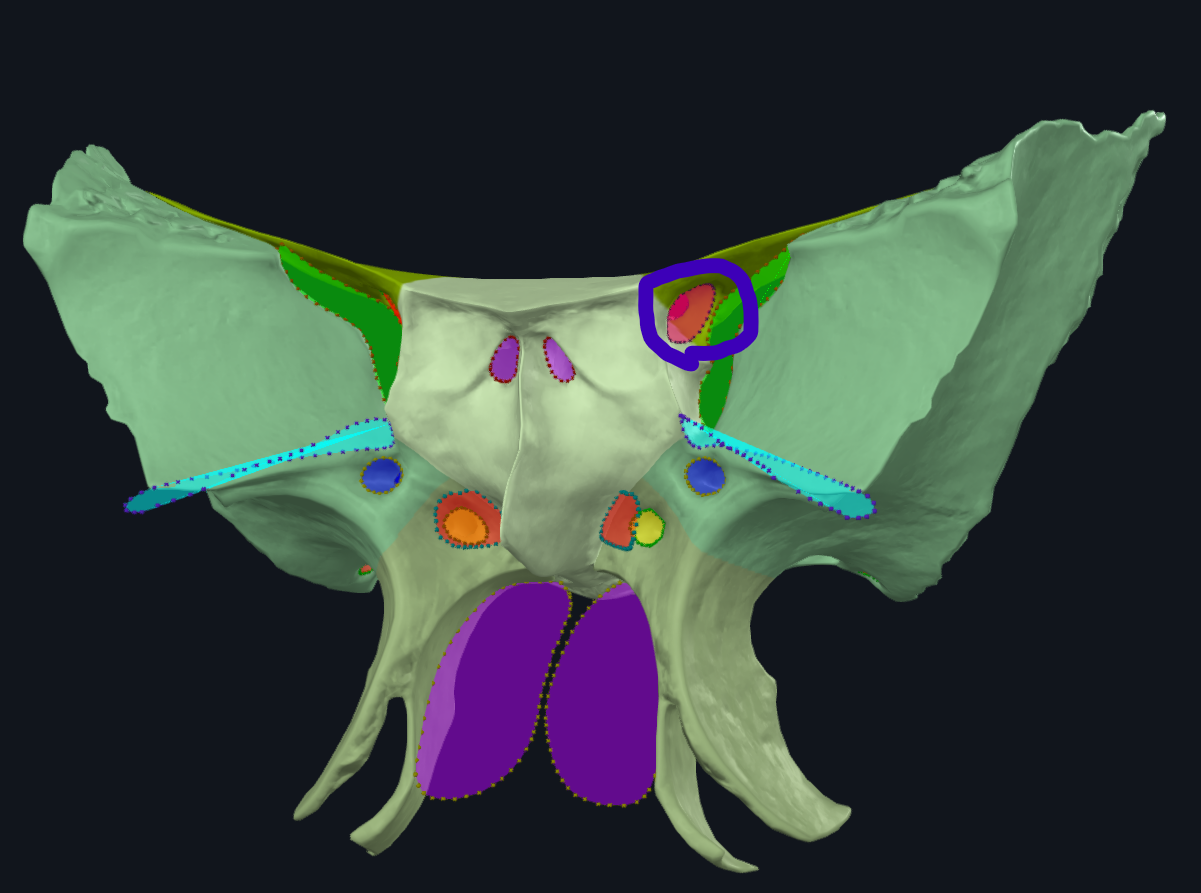 <p>What is circled </p>