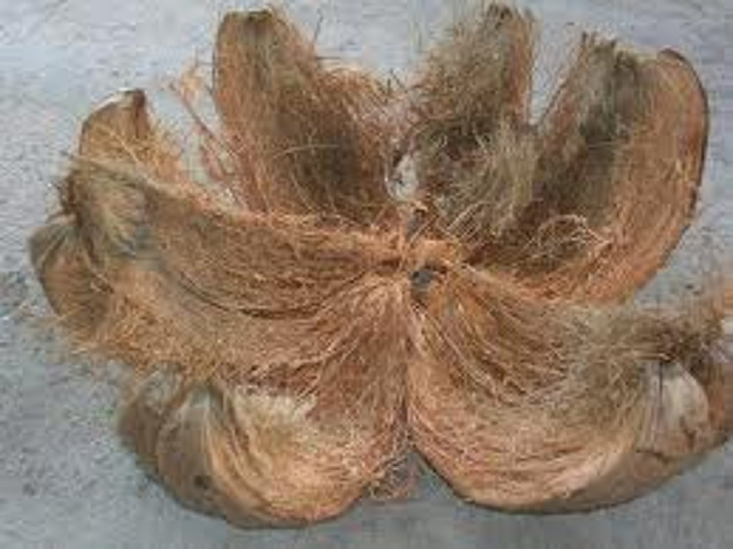 <p>= shell, pod, covering #kernel</p>