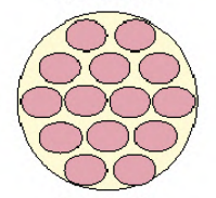 enlargement of cell size
