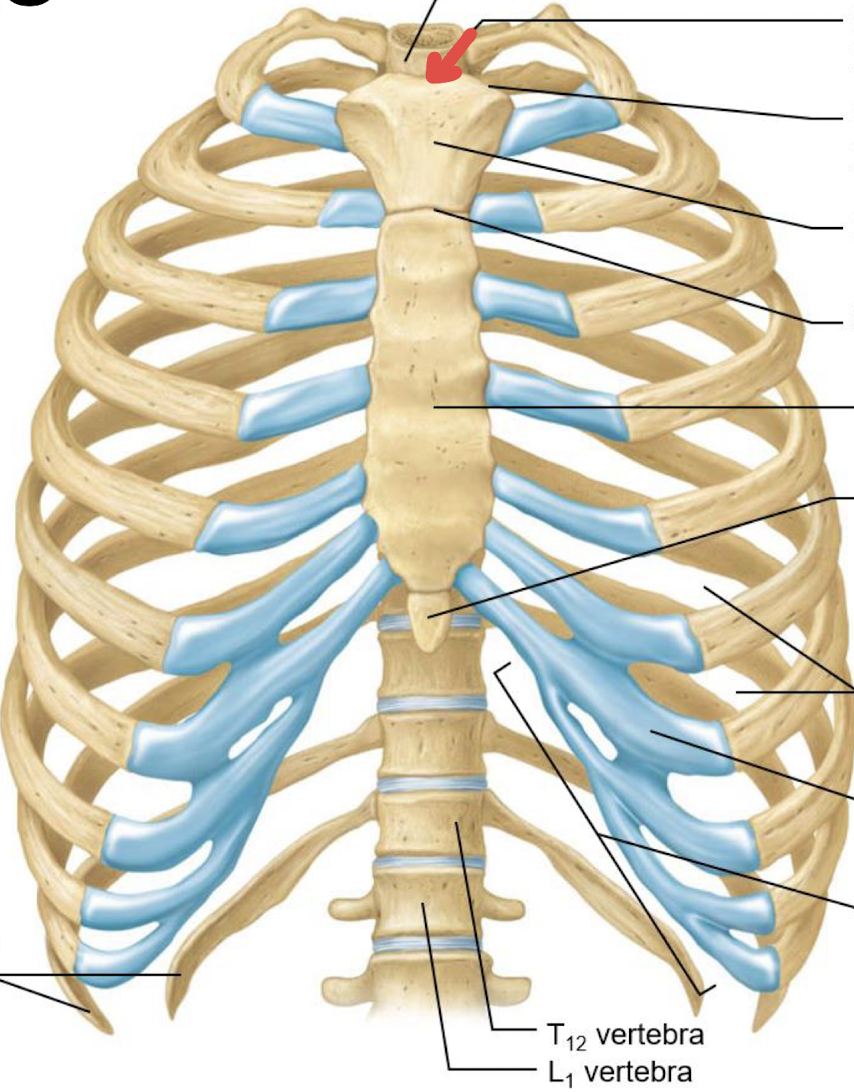 <p>what is this?</p>