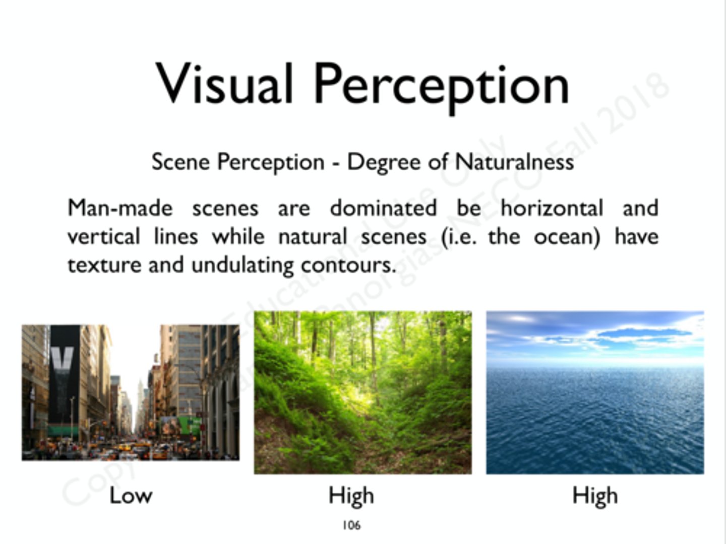 <p>Natural scenes, such as the ocean &amp; forest have textured zones and undulating contours; man-made scenes (street) are dominated by straight lines &amp; horizontals &amp; verticals.</p>