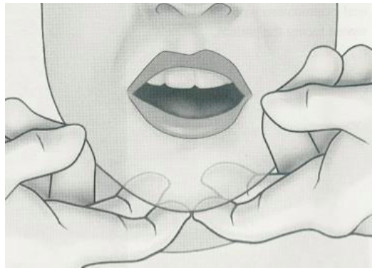 <p>Use both hands at same time to examine structures on opposite sides (examine submental nodes)</p><p>palpates the left and right side of a patient’s body</p><p>checks clicking</p>