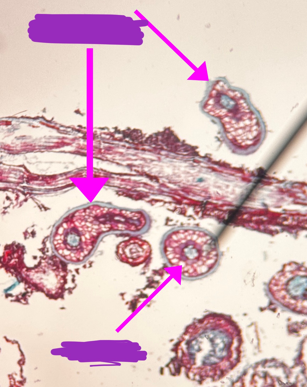 <p>Label + What is it?</p>