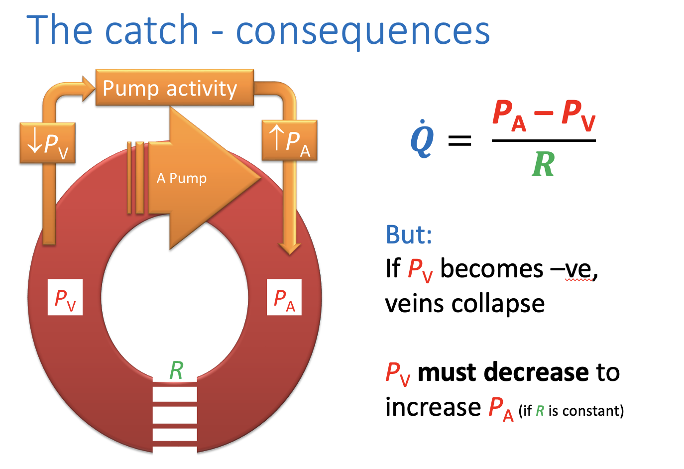 <p>Although Q=PA-Pv/R</p><ul><li><p>If Pv becomes <strong>negative</strong>, veins collapse</p></li></ul><p>THEREFORE: PV <strong>must decrease</strong> to <strong>increase</strong> PA</p><p><em>if R is constant</em></p><p></p>