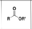 <p>Compound?</p>