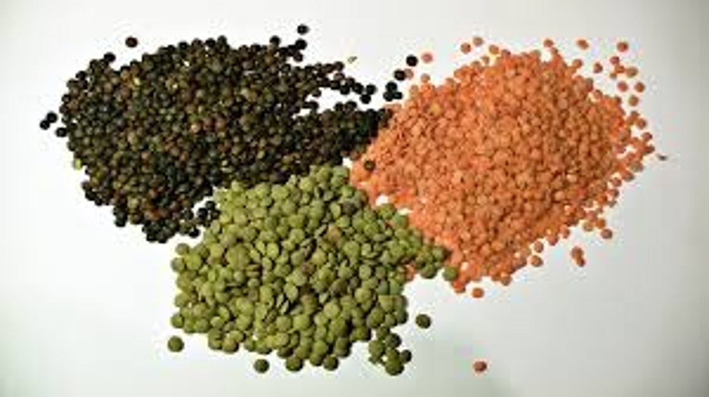 <p><strong>a very small dried bean that is cooked and eaten:</strong></p><ul><li><p><em>... soup</em></p></li><li><p><em>red/green/brown ...s</em></p></li></ul><p></p>