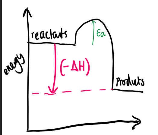 what type of reaction is shown