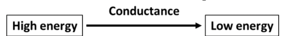 <ul><li><p>Flow models are models that represent physiological flow</p></li><li><p>arrows represent flows</p></li><li><p>energy gradient is the difference in energy between the two sides of the arrow, the high energy at the flat end of the arrow and the low energy at the arrowhead end of the arrow</p></li><li><p>conductance is written on top of the arrow</p></li></ul>