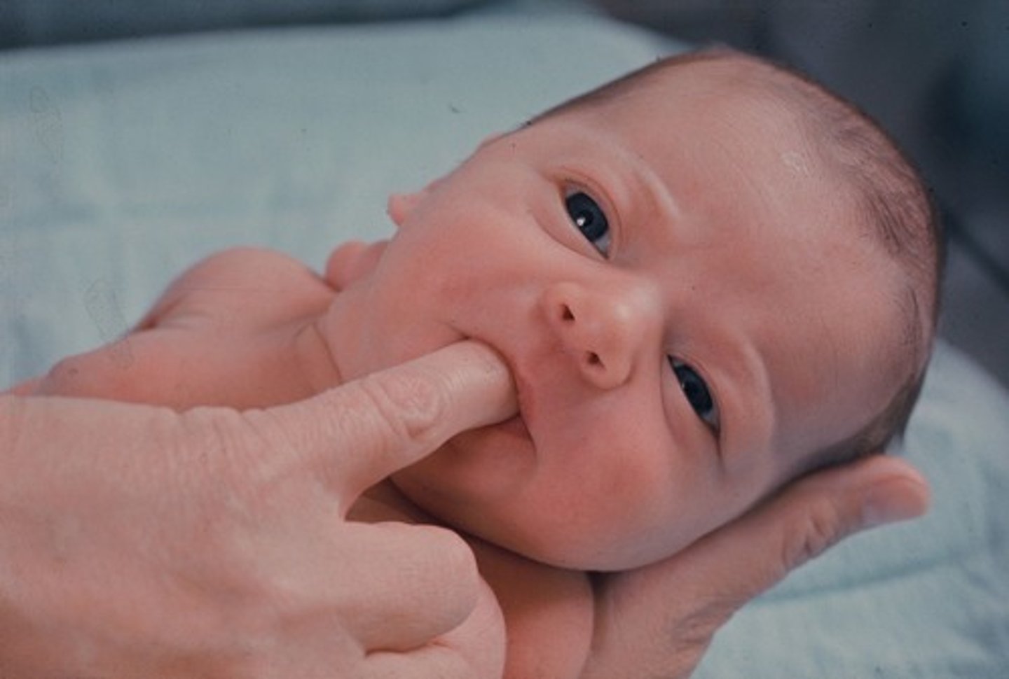 <p>place gloved finger, pacifier, bottle nipple in mouth; rhythmically sucking</p>