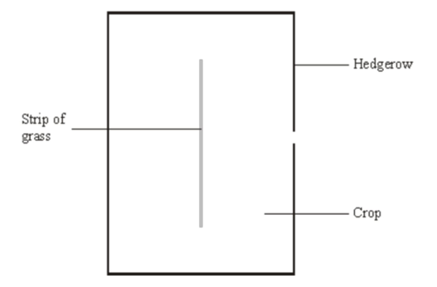 <p>1. - source of pests / animals, and effect on crop; <br>- source of weeds / no longer taking nutrients, hence competition / reduced yield; <br>- creation of larger fields / leaving room, hence more efficient use of machinery / grow more crops; <br>- hedgerows have to be maintained, so removal saves time / money;<br><br>2. - allows beetles to remain / survive / over winter in the middle of the field / strip of grass; <br>- effect on distribution, e.g. do not normally reach the centre of the field / can reach all parts;<br><br>3. - increases biodiversity; <br>- source of food for animals; <br>- habitat / nest for animals; <br>- reduce need for insecticides / attracts insects away from crop; <br>- windbreaks / prevent erosion / run-off / leaching; <br>- migratory corridors;</p>