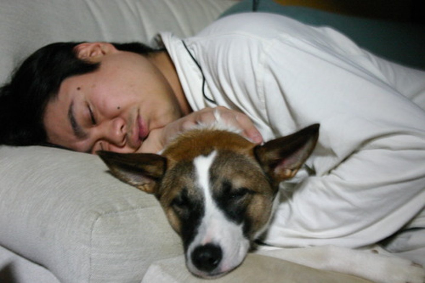 <p>she loves to sleep</p>