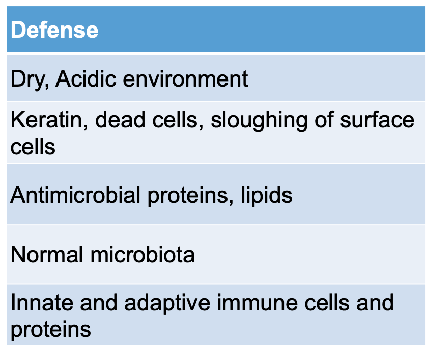 What are the functions of these defenses?