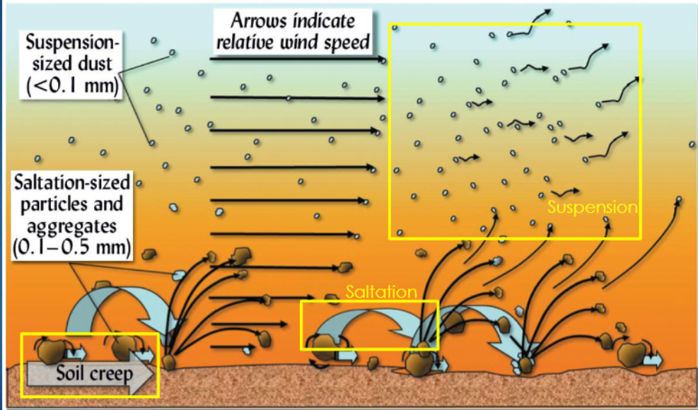 <p>What are the three main types/ processes of wind erosion </p>