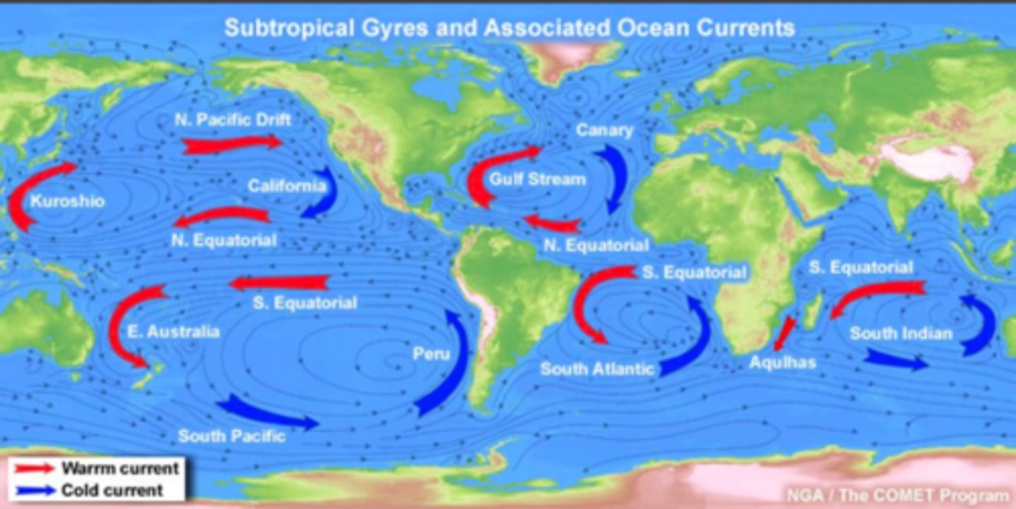 <p>formed dur to rotation and wind patterns, massive, circular current systems, 5 major ones, impact temperature, salinity, nutrient distribution globally</p>