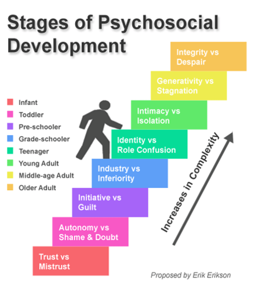 <p>Psychosocial model that covers the lifespan. In each stage the person needs to accomplish a partiicular task before moving on to the next stage. Each task is framed with opposing conflicts that the person must balance. </p><p>Stage 1: Trust versus mistrust (infancy: birth to one year)</p><p>Stage 2: Autonomy versus sense of shame and doubt (toddler years: 1-3 years)</p><p>Stage 3: Initiative versus guilt (preschool years: 3-6 years)</p><p>Stage 4: Industry versus inferiority (middle childhood: 6-11 years)</p><p>Stage 5: Identity versus role confusion (adolescence: 12-18 years)</p><p>Stage 6: Intimacy versus isolation (young adulthood: ages 18-35 years)</p><p>Stage 7: Generativity versus self-absorption and stagnation (middle adulthood: 35-65 years)</p><p>Stage 8: Integrity versus despair (old age: 65+)</p>