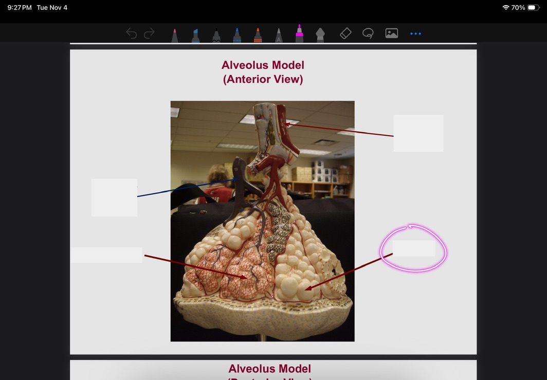 <p>What is this?</p>