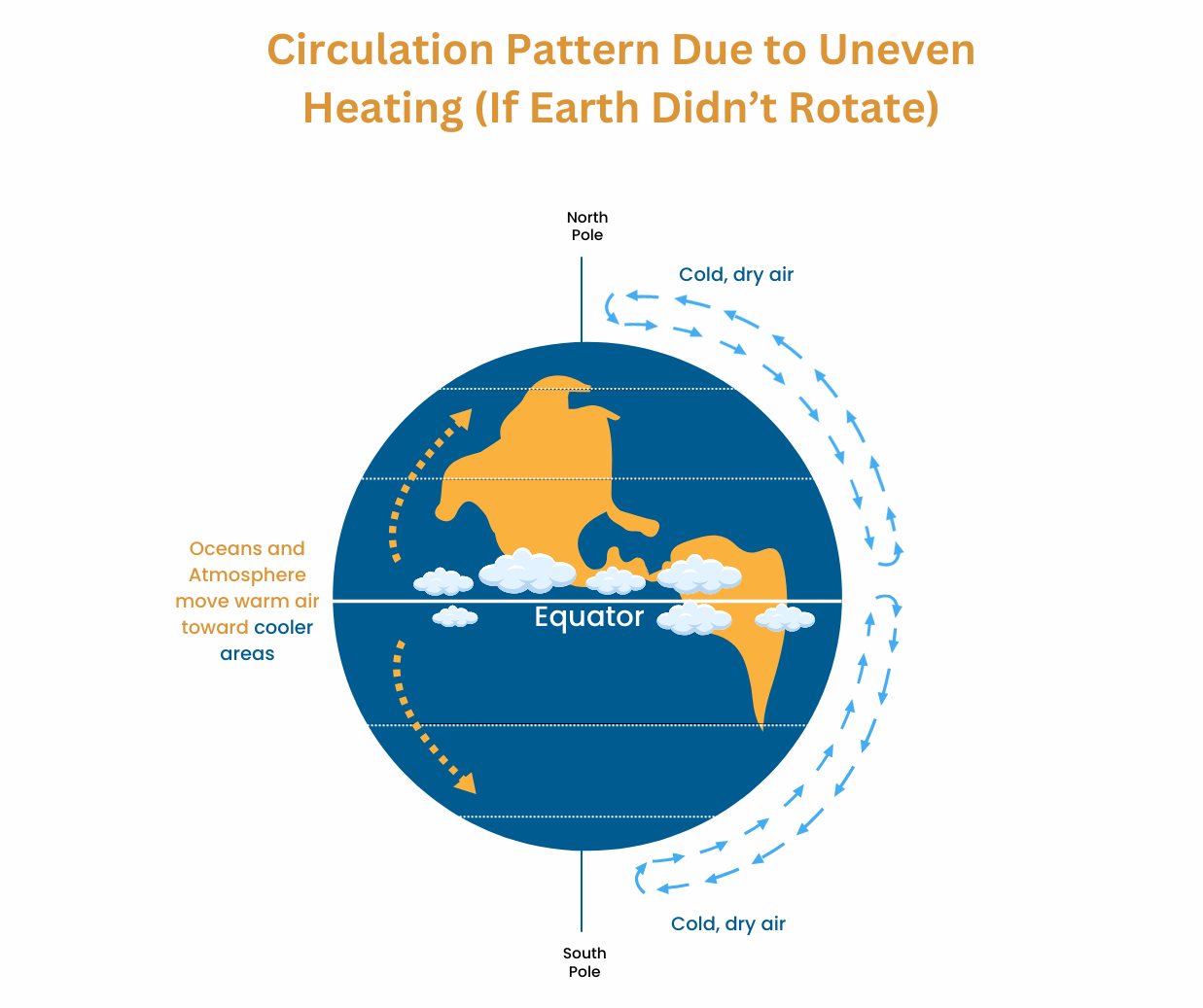 <ul><li><p>The wind simply flow back-and-forth between the poles and the equator.</p></li><li><p>At the poles = cold air sink, move toward the equator</p></li><li><p>At the equator = warm air rises, move toward the poles</p></li></ul><p></p>