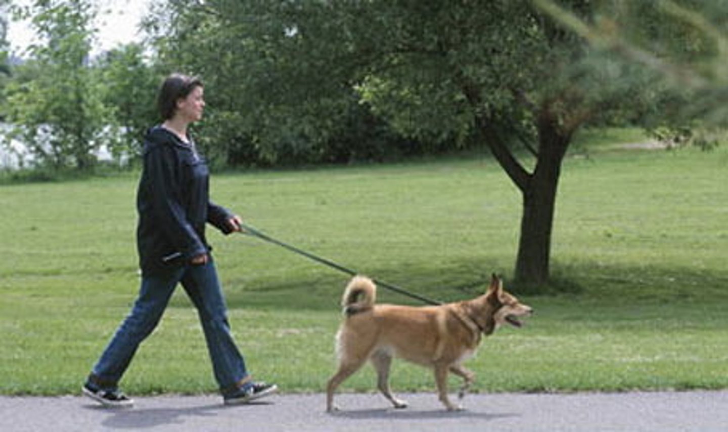 <p>to take a walk</p>