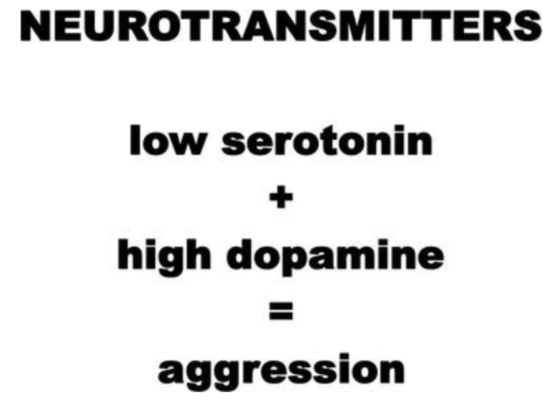 <p><strong>NEUROTRANSMITTERS &amp; AGGRESSION </strong></p>