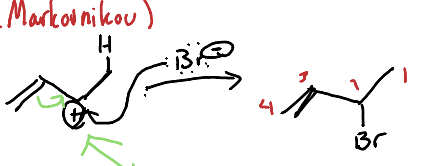 <p>A reaction where two substituents are added to adjacent carbon atoms of a diene</p>