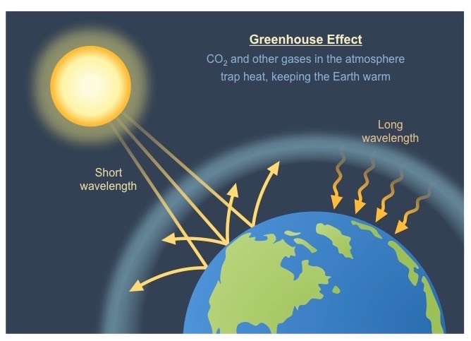 <p>A natural process whereby the atmosphere acquires the ability to trap and retain heat. It ensures that the Earth maintains the moderate temperature needed by organisms to maintain life processes (homeostasis) and that the temperature differences between night and day are not too big and rapid.</p><ul><li><p>incoming radiation from the sun is a shorter wave radiation (UV and visible light)</p></li><li><p>the surface of the Earth absorbs short-wave radiation and re-emits it at a longer wavelength (IR - heat)</p></li><li><p>greenhouse gases absorb and re-radiate this longer wave rafiation and hence retain the heat within the atmosphere</p></li></ul>