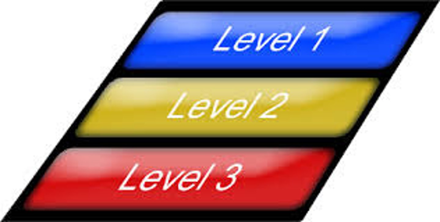 <p>level shuǐ píng</p>