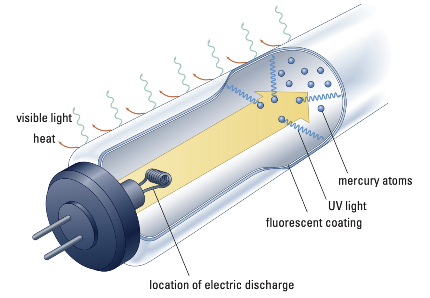 <ul><li><p>Fluorescent lights make use of both electric discharge and fluorescence</p><ul><li><p>Tube is filled with low-pressure mercury vapour and the inner surface is coated with a fluorescent material.</p></li><li><p>When turned on, the electric current causes the mercury atoms to emit ultraviolet light.</p></li><li><p>UV light then strikes the fluorescent inner surface of the tube, resulting in the production of visible light.</p></li></ul></li></ul>