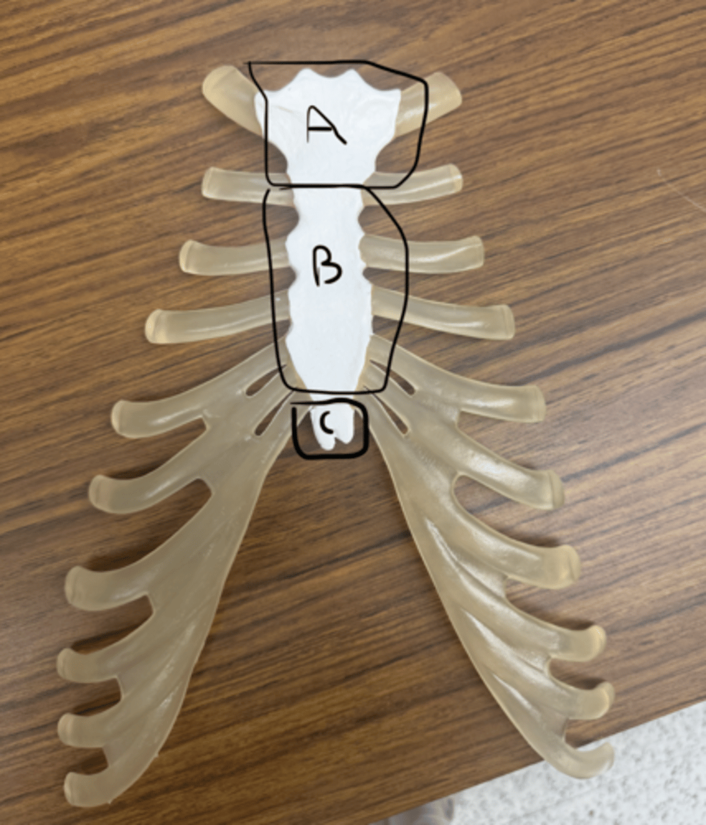 knowt flashcard image